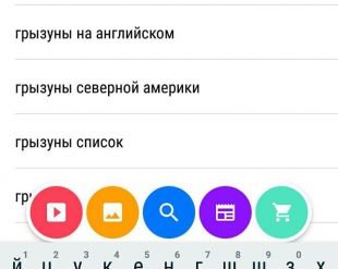 Cake — мобильный браузер для быстрого и удобного поиска